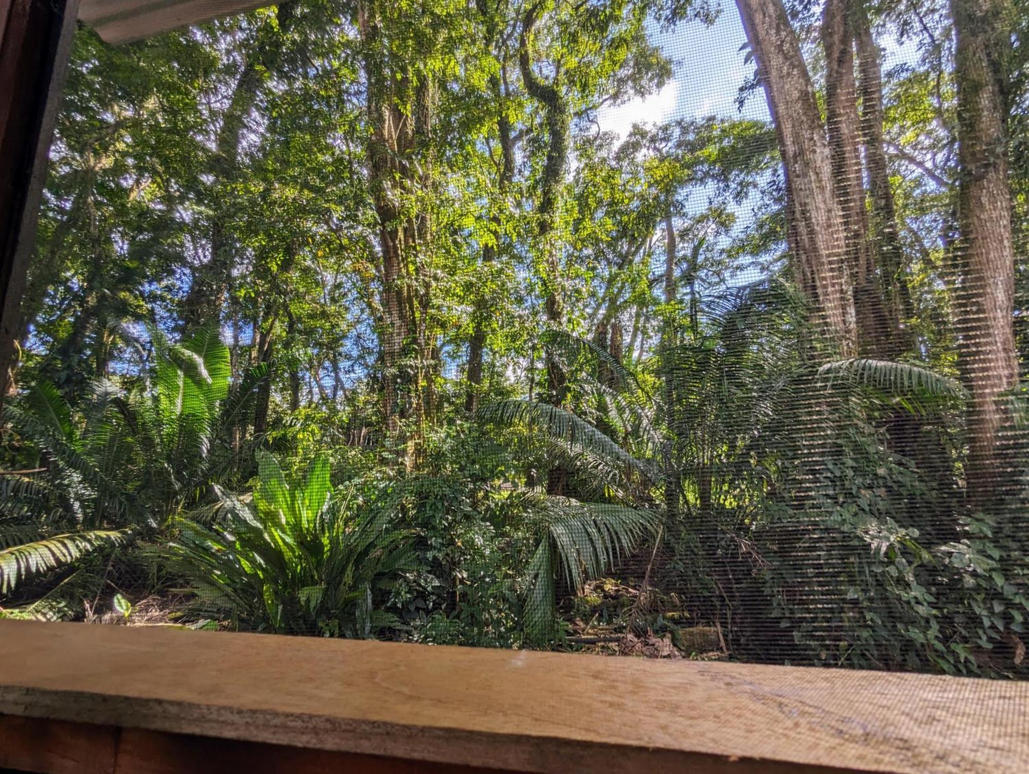 Arboura Eco Cabins Увита Экстерьер фото